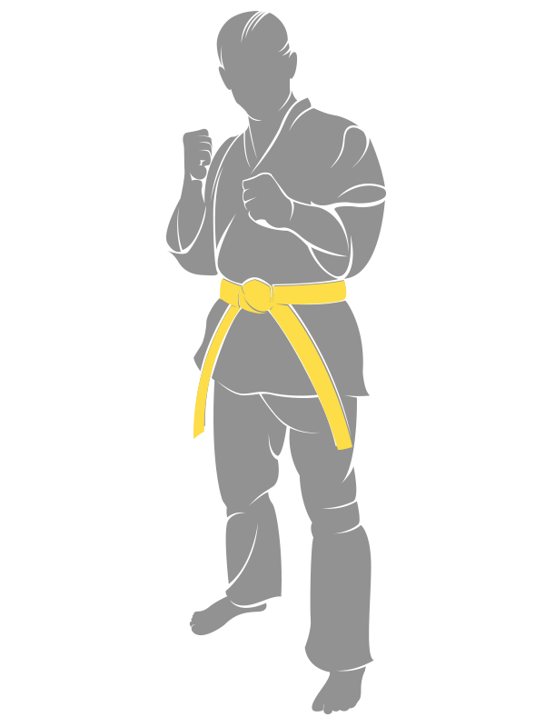 Ceinture jaune du budo-karate kyokushinkai à Dreux